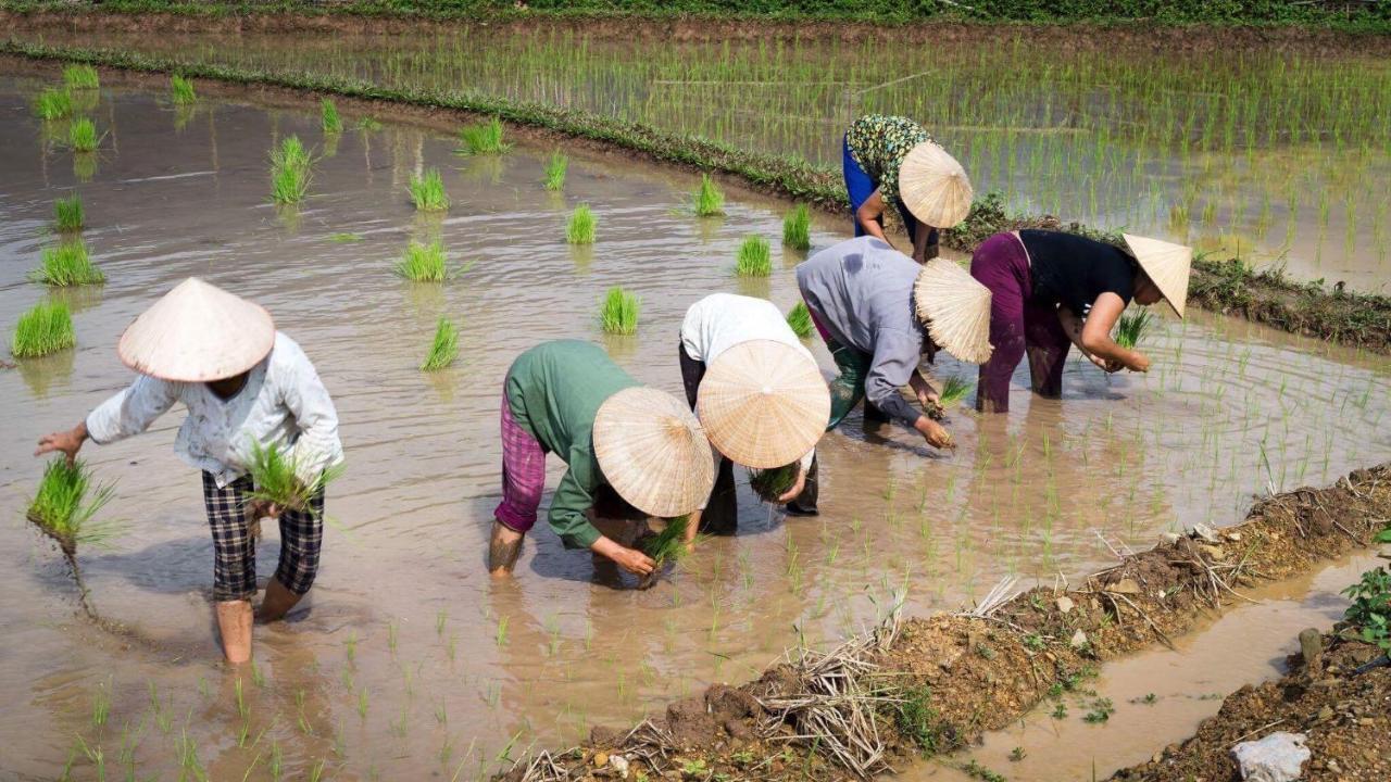 Nha Tan - Mai Chau Homestay And Tours Екстериор снимка