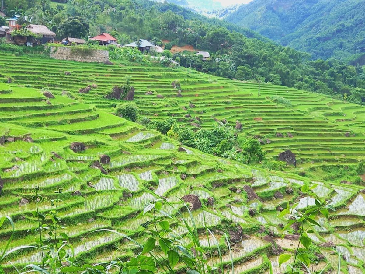 Nha Tan - Mai Chau Homestay And Tours Екстериор снимка