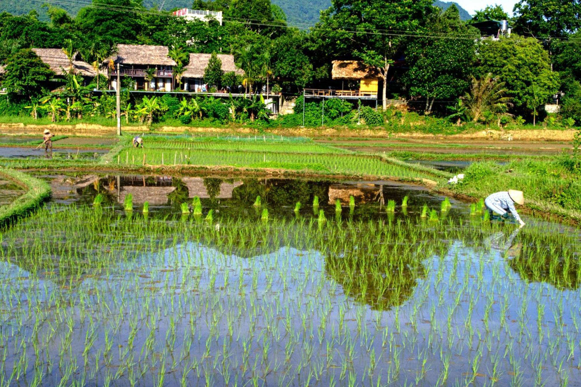 Nha Tan - Mai Chau Homestay And Tours Екстериор снимка