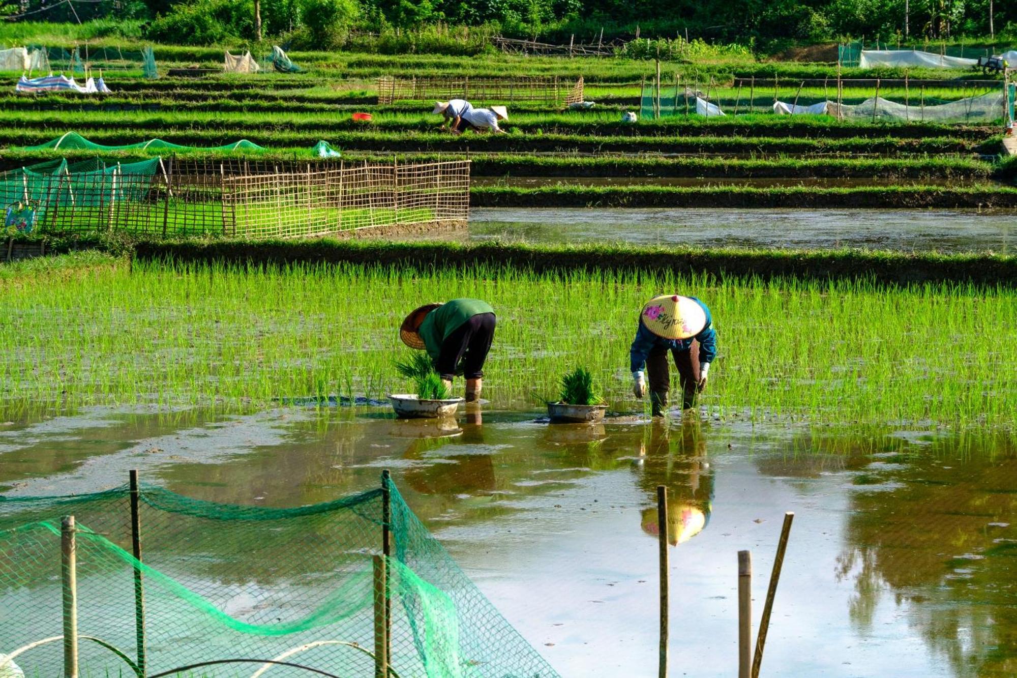 Nha Tan - Mai Chau Homestay And Tours Екстериор снимка